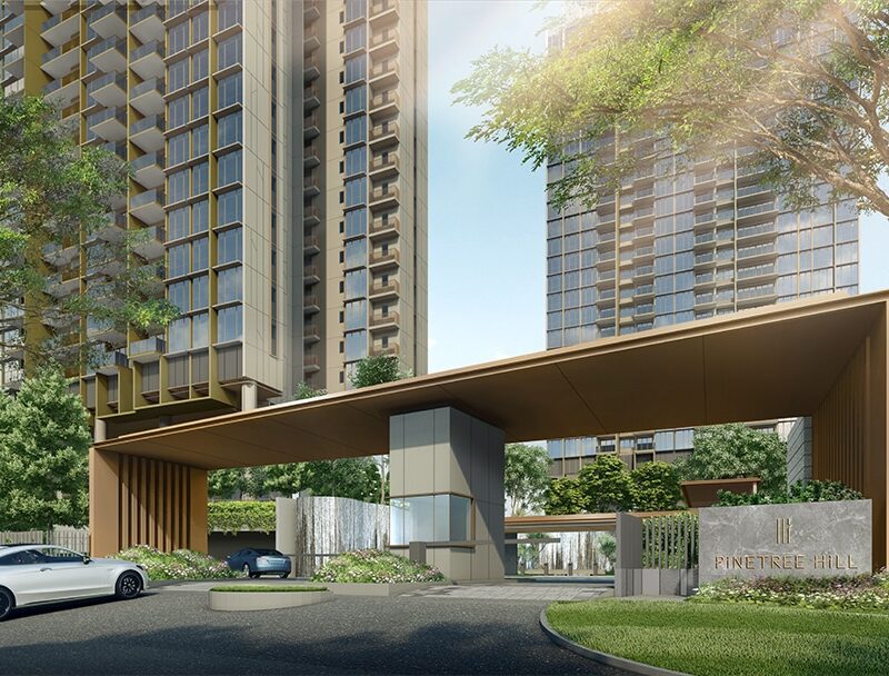 Pinetree Hill Review