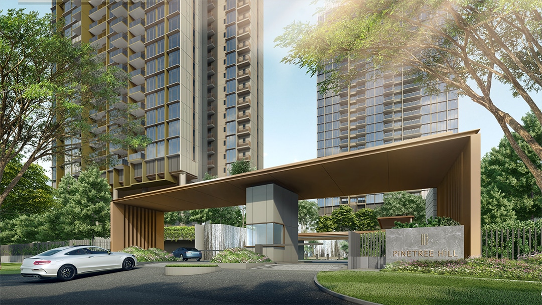 Pinetree Hill Review